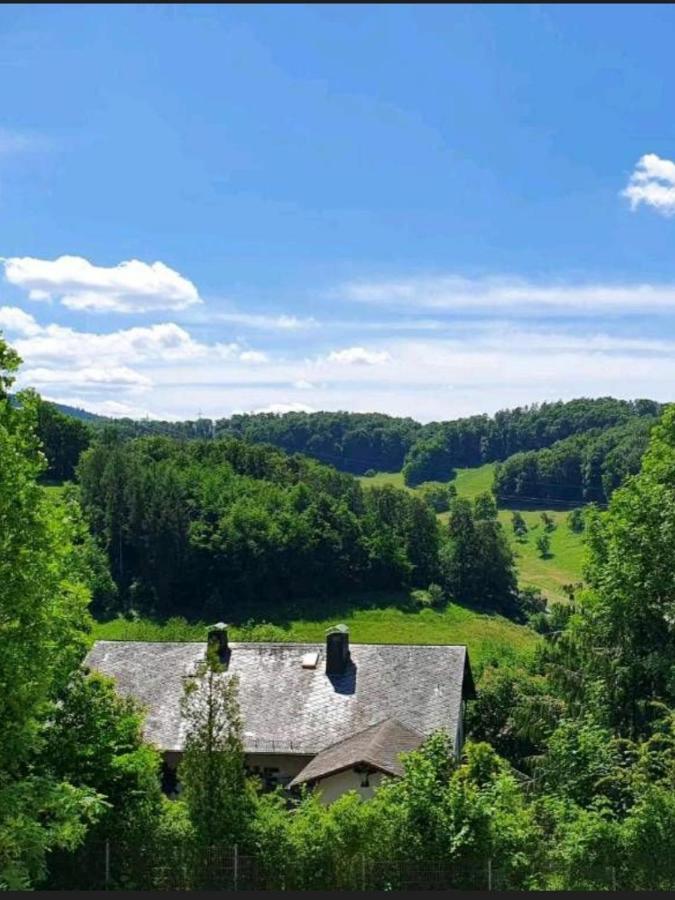 Odenwald-Lodge mit Infrarotsauna im Naturpark Odenwald Reichelsheim Exterior foto