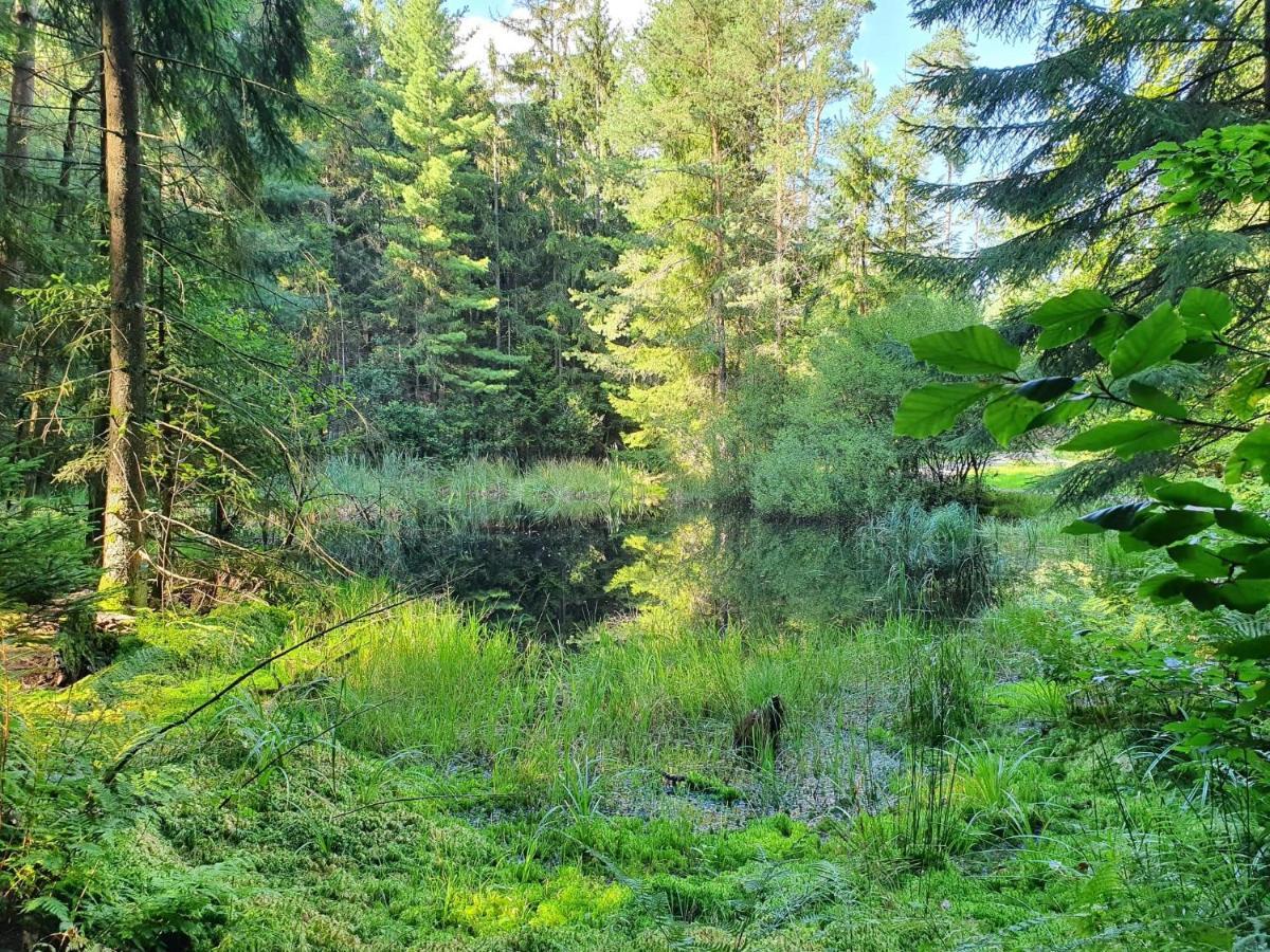 Odenwald-Lodge mit Infrarotsauna im Naturpark Odenwald Reichelsheim Exterior foto